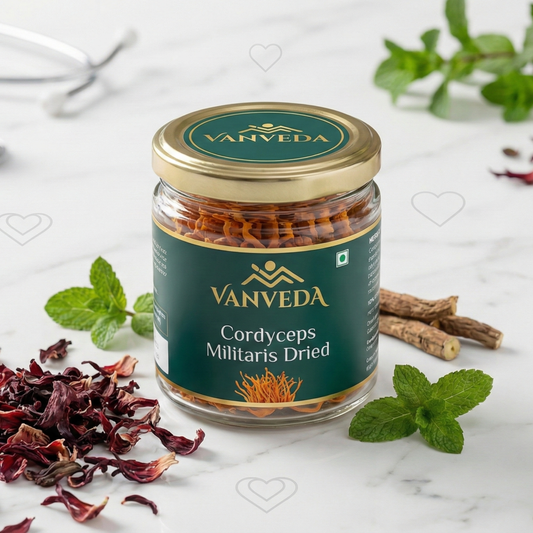 Vanveda Cordyceps Militaris Dried – Premium Whole Fruiting Bodies for Daily Wellness